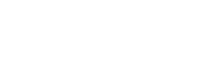 11X Properties